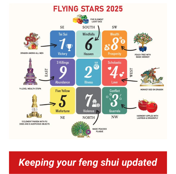 2025 Feng Shui New Year Annual workshop Of Gentle Reflective Wood Snake